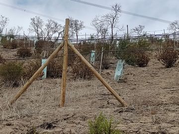 SE VENDE TERRENO LADERA DE CERRO LA BATALLA ,CALERA DE TANGO DE 5.500 M2 EN 1.000  UF