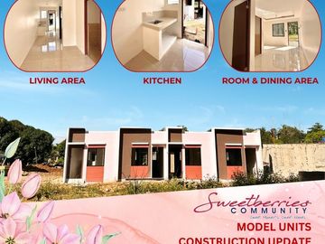 Pre-Selling Affordable One Storey Fully Finished Townhouses for Sale in Balamban, Cebu