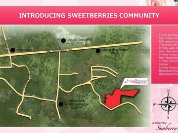 Pre-Selling Affordable One Storey Fully Finished Townhouses for Sale in Balamban, Cebu