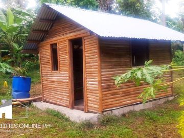 9,141 SQM FARM WITH 300 FRUIT TREES FOR SALE IN DOLORES, SAN PABLO, LAGUNA