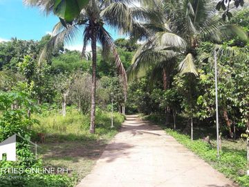 9,141 SQM FARM WITH 300 FRUIT TREES FOR SALE IN DOLORES, SAN PABLO, LAGUNA