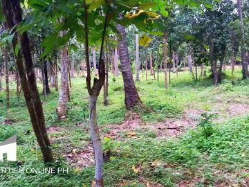 9,141 SQM FARM WITH 300 FRUIT TREES FOR SALE IN DOLORES, SAN PABLO, LAGUNA