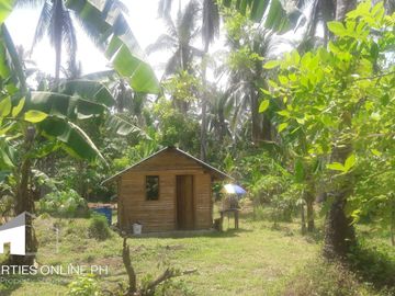 9,141 SQM FARM WITH 300 FRUIT TREES FOR SALE IN DOLORES, SAN PABLO, LAGUNA