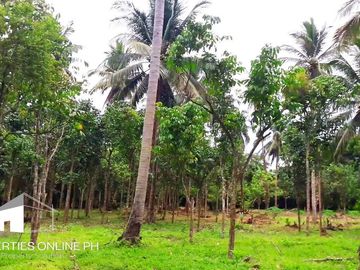 9,141 SQM FARM WITH 300 FRUIT TREES FOR SALE IN DOLORES, SAN PABLO, LAGUNA