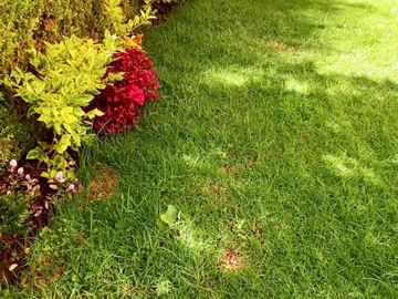 Venta casa en Cuernavaca zona residencial Lomas de Ahuatlán