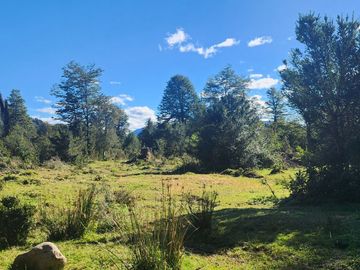 VENDO 17 HECTAREAS, UBICADO EN RIO CARACOLES, COMUNA DE AYSEN, REGION DE AYSEN.