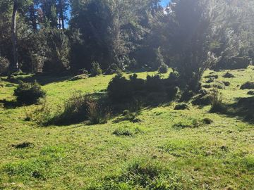 VENDO 17 HECTAREAS, UBICADO EN RIO CARACOLES, COMUNA DE AYSEN, REGION DE AYSEN.