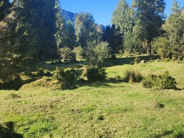 VENDO 17 HECTAREAS, UBICADO EN RIO CARACOLES, COMUNA DE AYSEN, REGION DE AYSEN.