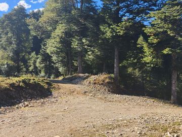 VENDO 17 HECTAREAS, UBICADO EN RIO CARACOLES, COMUNA DE AYSEN, REGION DE AYSEN.