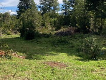 VENDO 17 HECTAREAS, UBICADO EN RIO CARACOLES, COMUNA DE AYSEN, REGION DE AYSEN.
