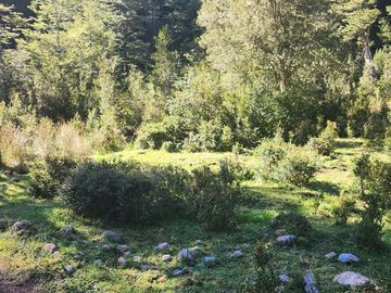 VENDO 17 HECTAREAS, UBICADO EN RIO CARACOLES, COMUNA DE AYSEN, REGION DE AYSEN.