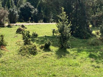 VENDO 17 HECTAREAS, UBICADO EN RIO CARACOLES, COMUNA DE AYSEN, REGION DE AYSEN.