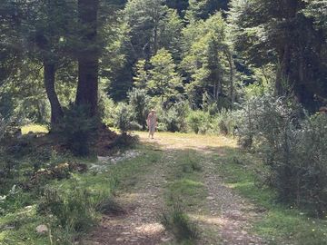 VENDO 17 HECTAREAS, UBICADO EN RIO CARACOLES, COMUNA DE AYSEN, REGION DE AYSEN.
