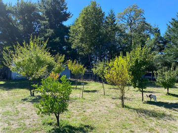 EN PUCON, VENTA HERMOSA CASA EN PARCELA 5000M2 PRECIOSAS VISTAS
