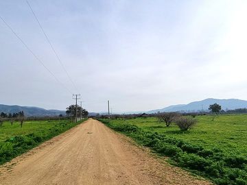 OFERTA UNICA, solo 7 parcelas de 20.000 m2, precio irrepetible!