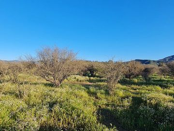 OFERTA UNICA, solo 7 parcelas de 20.000 m2, precio irrepetible!