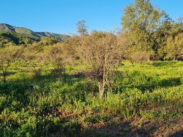 OFERTA UNICA, solo 7 parcelas de 20.000 m2, precio irrepetible!