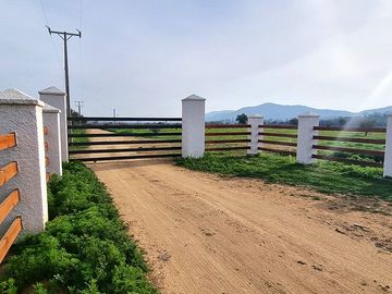OFERTA UNICA, solo 7 parcelas de 20.000 m2, precio irrepetible!