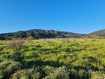 OFERTA UNICA, solo 7 parcelas de 20.000 m2, precio irrepetible!