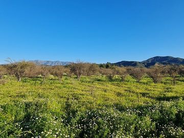 OFERTA UNICA, solo 7 parcelas de 20.000 m2, precio irrepetible!