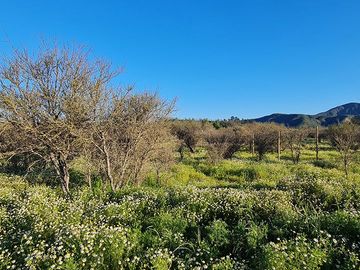 OFERTA UNICA, solo 7 parcelas de 20.000 m2, precio irrepetible!