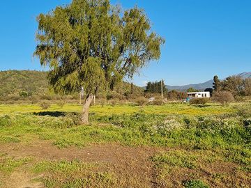 OFERTA UNICA, solo 7 parcelas de 20.000 m2, precio irrepetible!