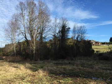 Parcela en venta camino Villarrica – Pucón km 9