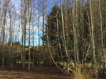 Parcela en venta camino Villarrica – Pucón km 9
