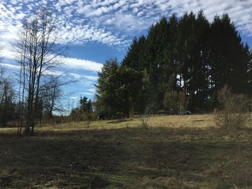 Parcela en venta camino Villarrica – Pucón km 9