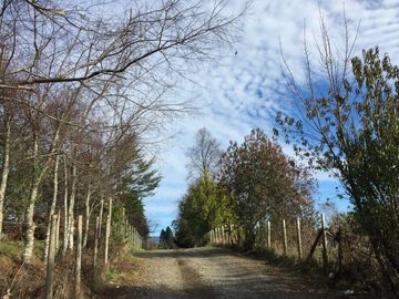 Parcela en venta camino Villarrica – Pucón km 9