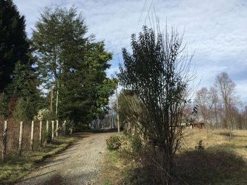 Parcela en venta camino Villarrica – Pucón km 9