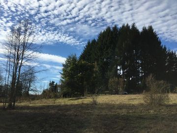 Parcela en venta camino Villarrica – Pucón km 9