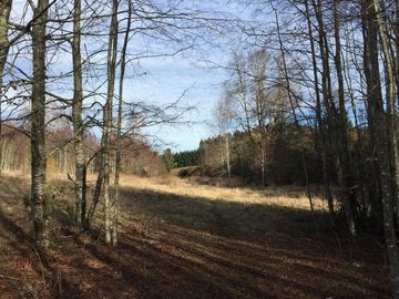 Parcela en venta camino Villarrica – Pucón km 9