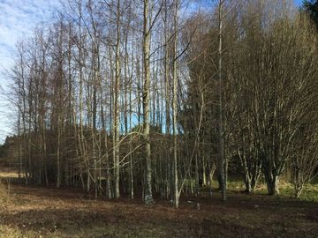 Parcela en venta camino Villarrica – Pucón km 9