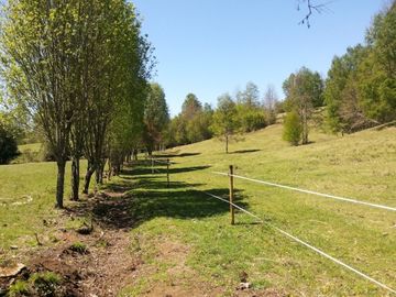 campo de 14 hectáreas camino Villarrica - Pucon