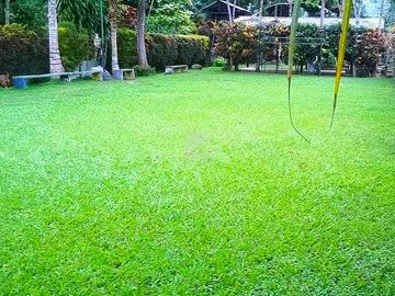 ¡Escapa de la Rutina en tu Propia Quinta de Ensueño en La Avanzada, El Oro!