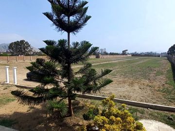 VENDO TERRENO EN MALA -  ALT. KM 88 PANAMERICANA SUR -  PASAJE KAWAY