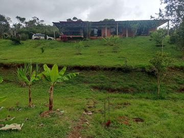 Venta Finca Tocotá, cerca al crucero de Tocotá Valle