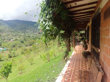 Venta Finca Tocotá, cerca al crucero de Tocotá Valle