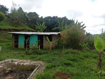 Venta Finca Tocotá, cerca al crucero de Tocotá Valle