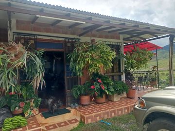Venta Finca Tocotá, cerca al crucero de Tocotá Valle