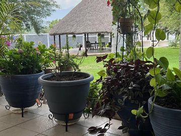 QUINTA EN VENTA EN MONTEMORELOS