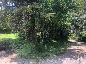 VENTA CASA CON TERRENO SECTOR ALANGASI / USHIMANA