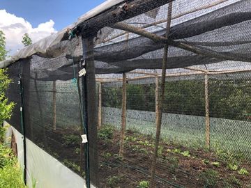 VENTA CASA CON TERRENO SECTOR ALANGASI / USHIMANA