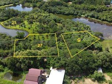 (LS357-01) Nearly 2 Rai of Nice Land for Sale in Pha Pai, San Sai, Chiang Mai