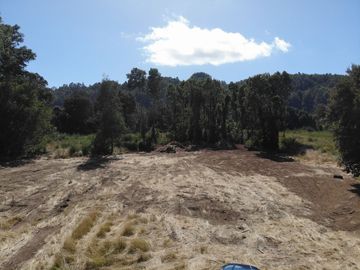 Hermosa parcela a Orillas del Rio Cruces