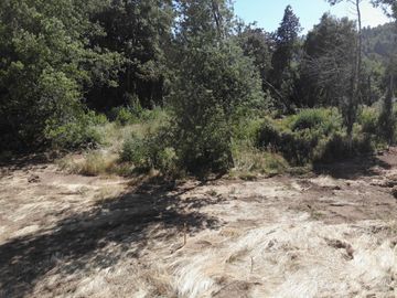 Hermosa parcela a Orillas del Rio Cruces