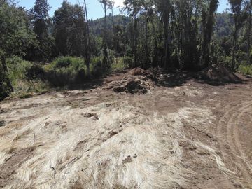 Hermosa parcela a Orillas del Rio Cruces