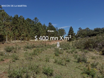 Terreno Descendente en Rincón de La Martha, San Antonio de las Alazanas, Arteaga, Coah. Lo mas Hermoso de la Sierra y Colindando con Monterreal.
