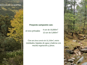 Terreno Descendente en Rincón de La Martha, San Antonio de las Alazanas, Arteaga, Coah. Lo mas Hermoso de la Sierra y Colindando con Monterreal.